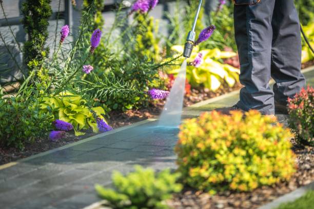 Trusted Ingleside, TX Pressure Washing Services Experts